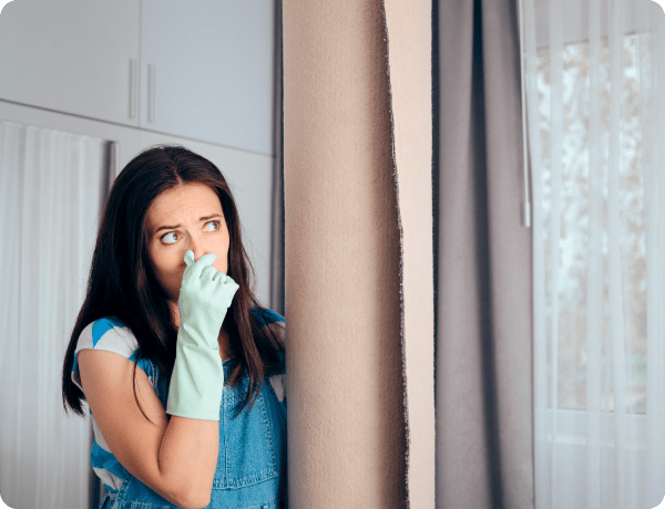 Как убрать запах в квартире