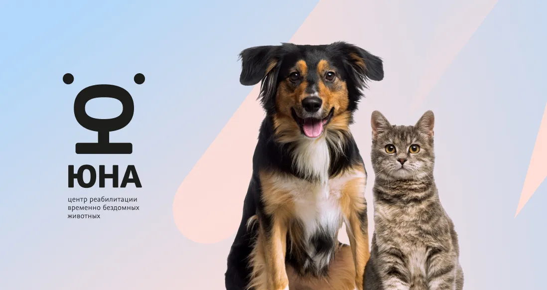«Абсолют Страхование»  поддержит выставку «Юна-Фест» по пристройству кошек и собак из приюта