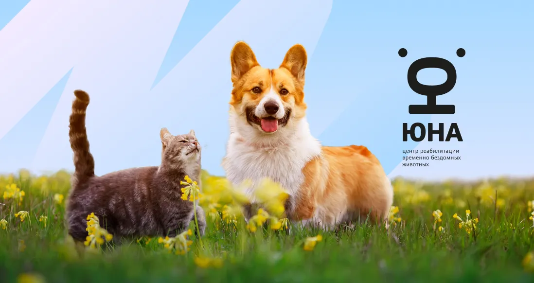 «Абсолют Страхование» поддержит выставку-пристройство кошек и собак «Юна-Фест» в Подольске