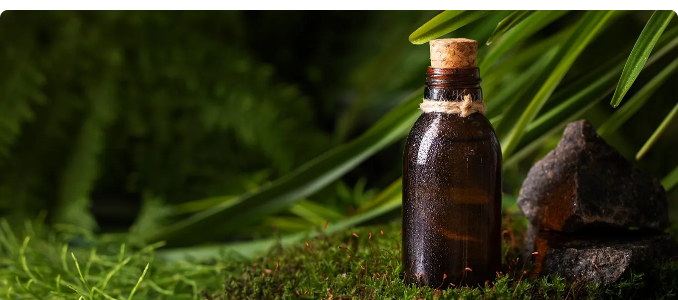 Вред и польза пальмового масла