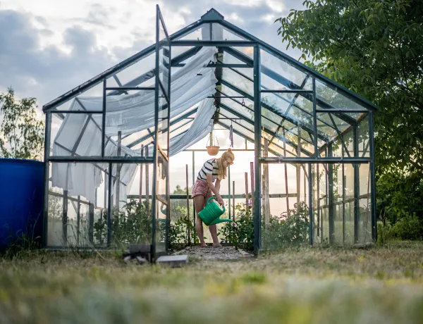 Подготовка теплицы к холодному периоду
