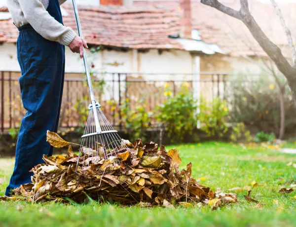 Какие работы нужно сделать в саду