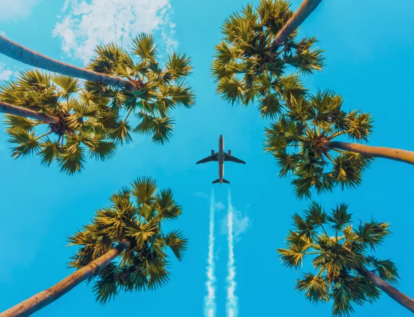 Какая виза нужна в Турцию для Россиян