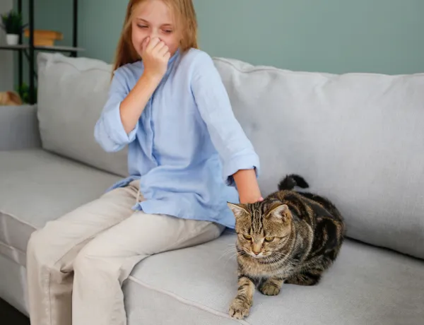 Почему кошачий запах такой вонючий