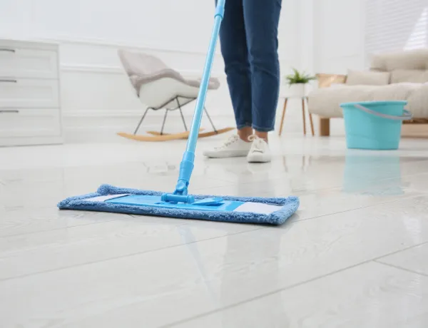 Как справится с кошачьим запахом в квартире