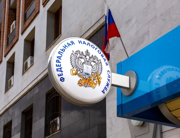 Какие проводятся расчёты и платятся налоги для ИП и самозанятого