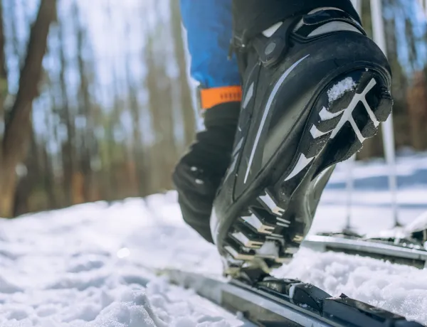 Выбираем лыжи для конькового хода