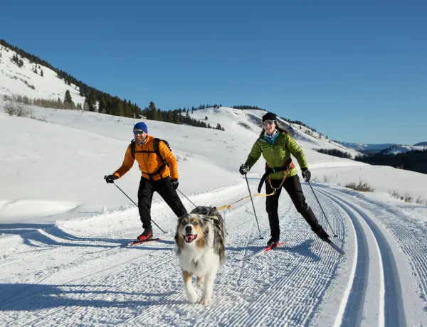 Жесткость лыж, на что влияет