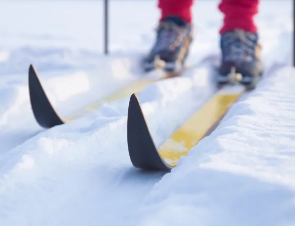 Выбираем лыжи правильно