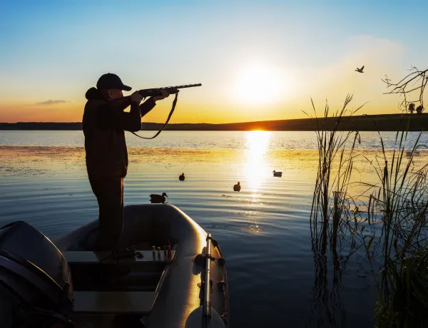 Как правильно охотиться с лодки на утку