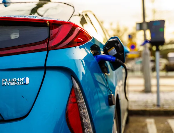 КМ у гибрида