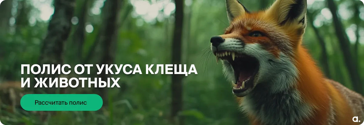 Купить полис от укуса клеща и других животных
