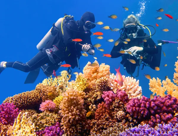 Каково в Египте осенью