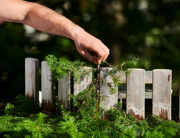 От чего это зависит