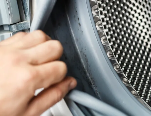 Как избавиться от запаха плесени в стиральной машине