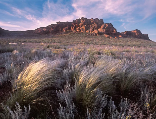 В Астрахань по весне