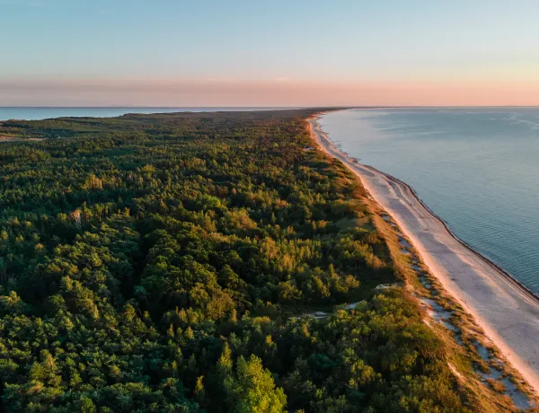 Куршская коса весной
