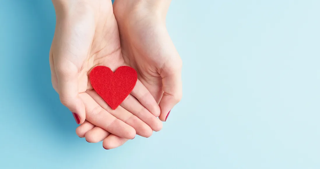 «Абсолют Страхование» подводит итоги года по социальной ответственности компании