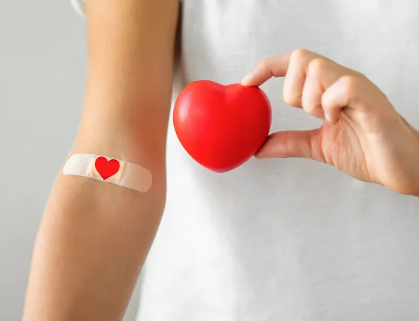 Подготовка