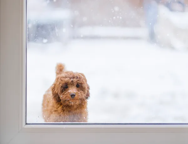 От чего зависит влажность в квартире