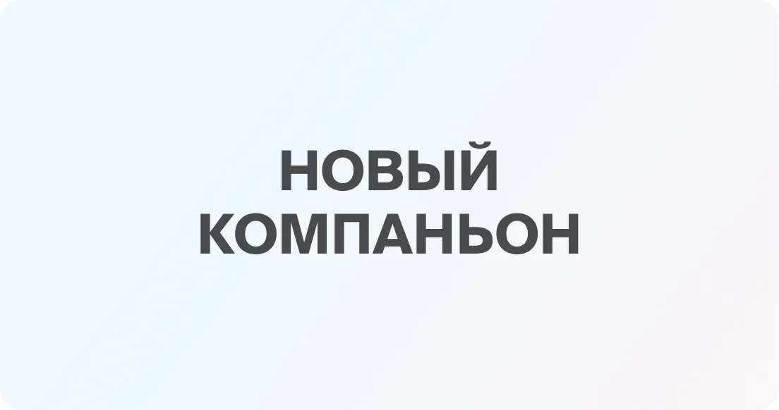 "Жизнь в кошелёк"