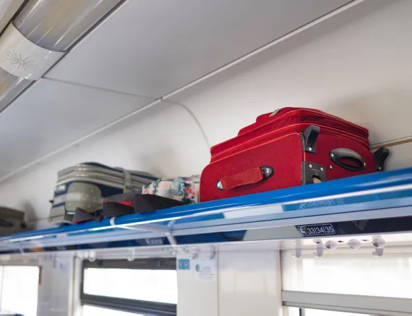 Какой багаж взять в плацкартный вагон